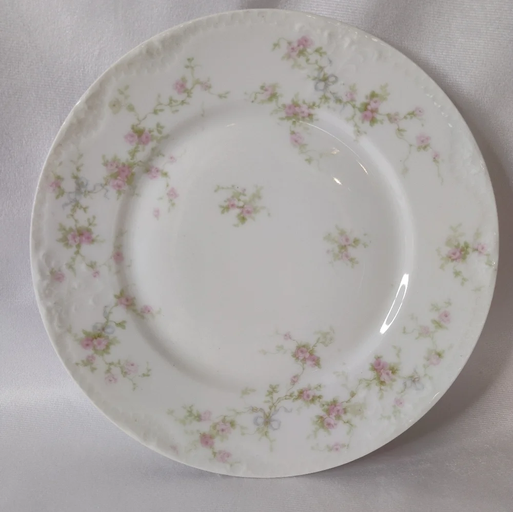 1890-1910 Theodore Haviland Limoges France 